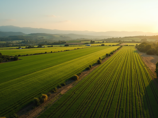 Guía para solicitar crédito agrícola en México: requisitos de crédito agrícola