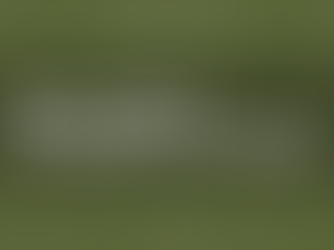 How to Create a Sustainable DEI Strategy