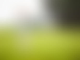 8 Ways to Engage Charity Golf Event Participants to Boost Year-End Fundraising