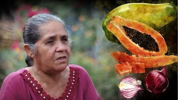 'Esmalte no Alimento' traz força feminina na produção rural do MS