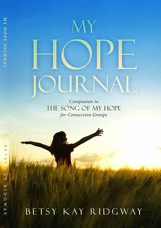 Final-Journal-Book-Cover-5---Cropped-(1).png