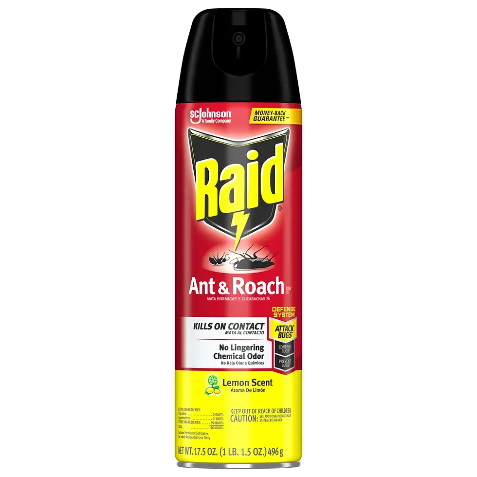 Thumbnail: Raid Ant & Roach Killer