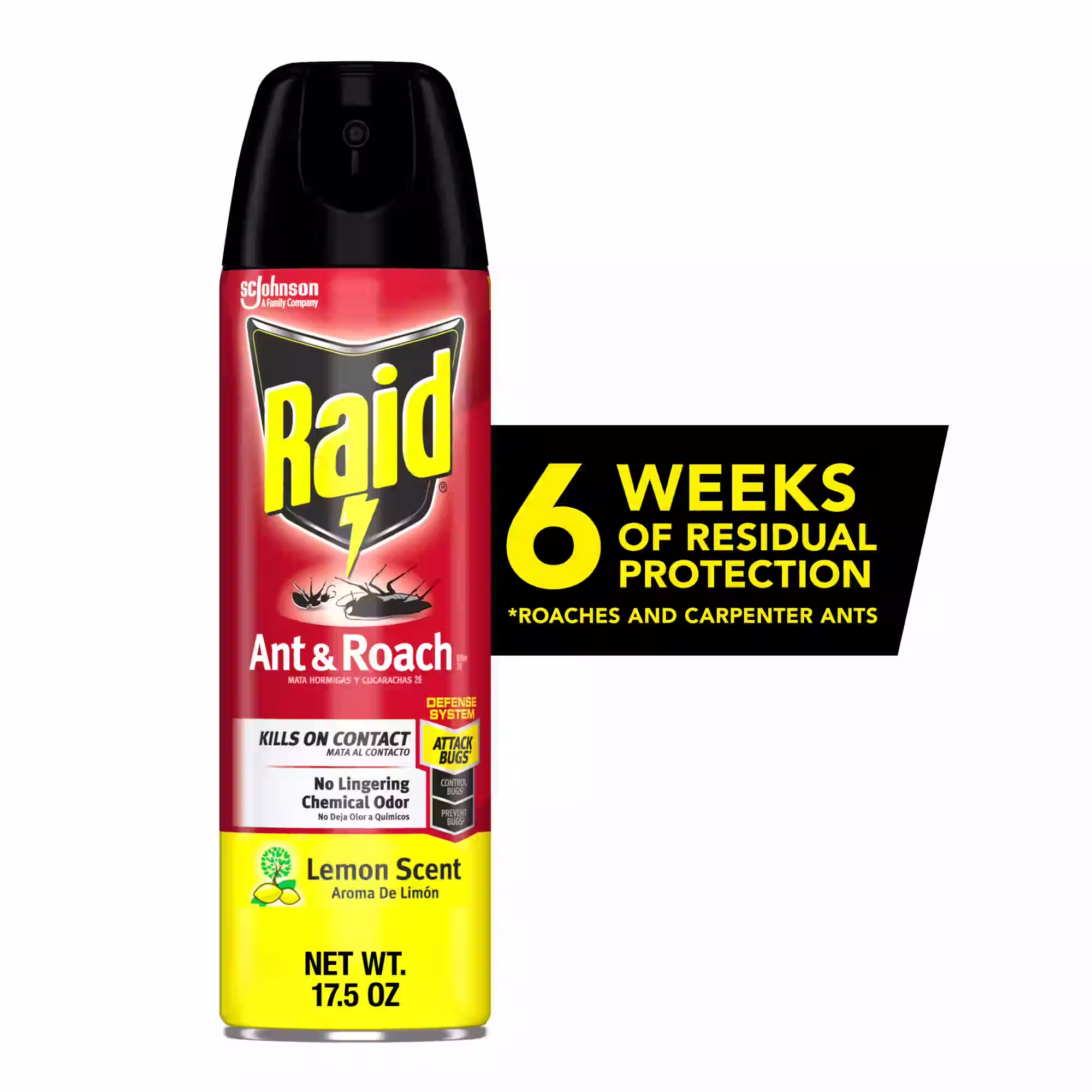 Raid Ant & Roach Killer