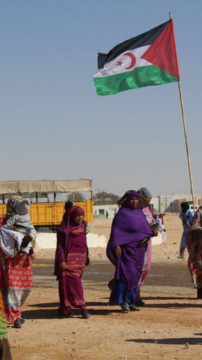 Ilusiones destrozadas