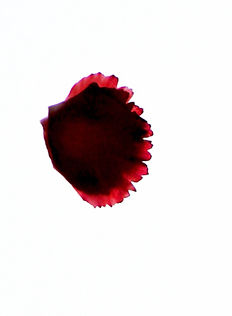 FLEUR1_edited_edited_edited_edited.jpg