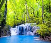 George Henry Higginbotham Jr.