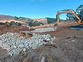 dambuilding-1.jpg