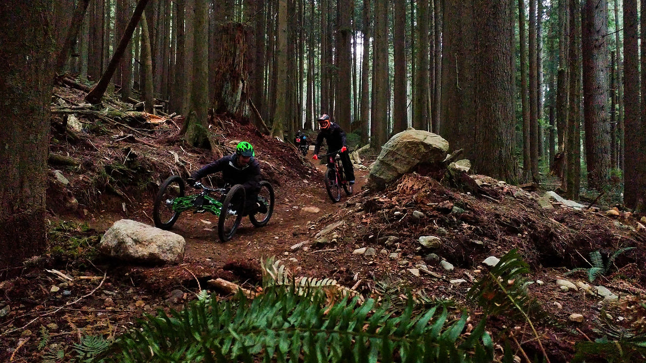 Bobsled trail