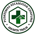 LOGO PUSKES old.png