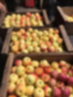 Gowan Orchards Apples in Boxes