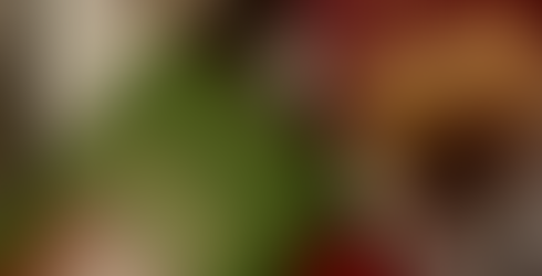 Four colorful Teecino herbal tea boxes on a white surface: French Roast, Lion's Mane Rhodiola, Snickerdoodle, and a sampler.