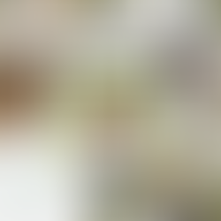 "INs" and "OUTs" as a Wellness enthusiast 