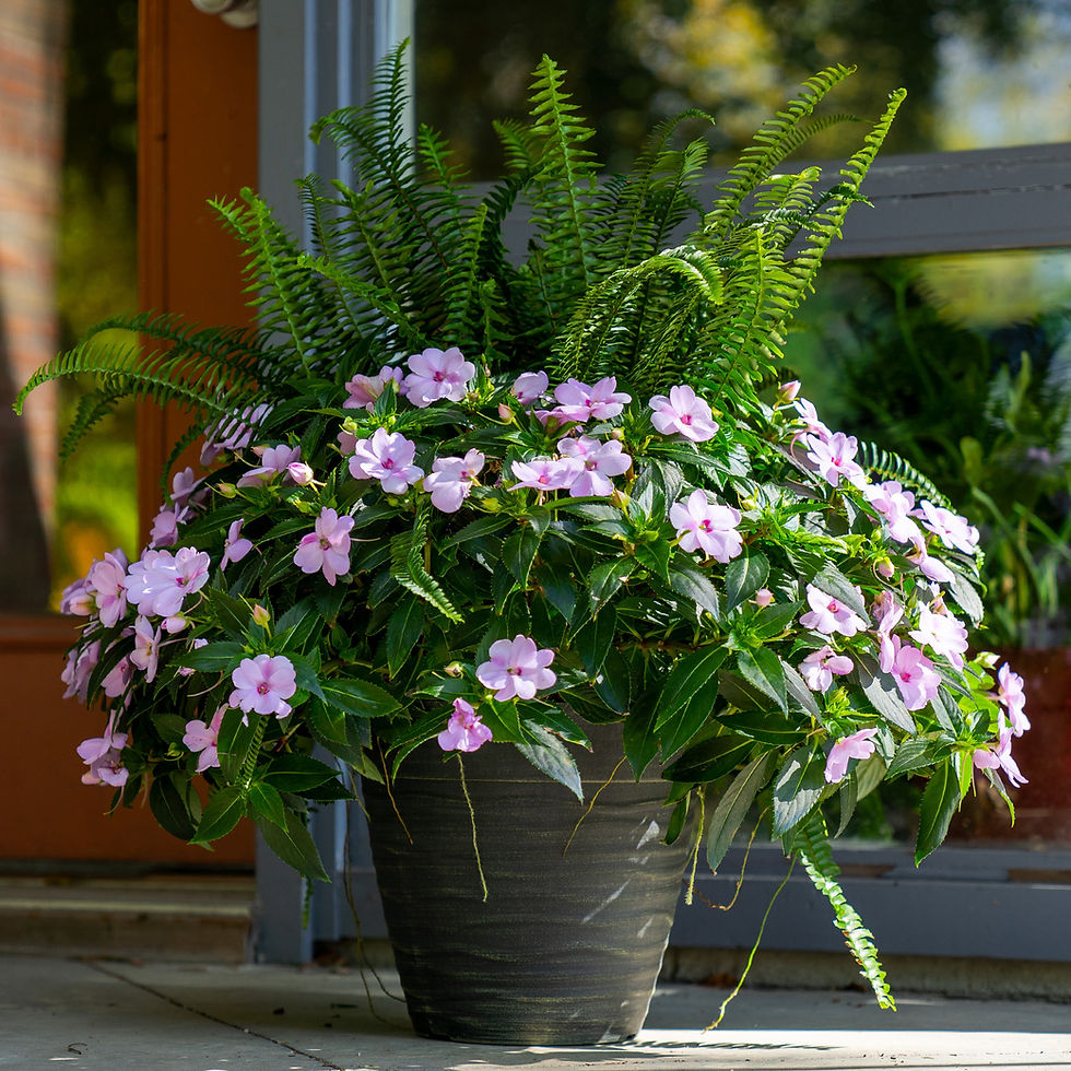 Flower Sale pick-up 5/21