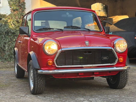 Rover Mini aka BIG Mike fast am Ziel