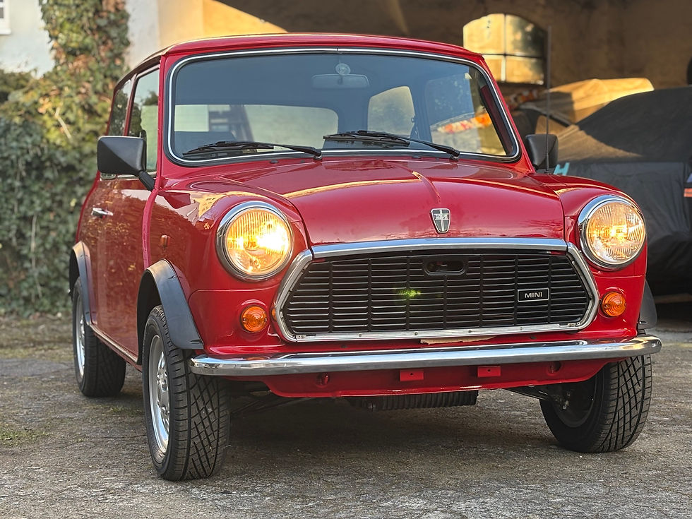 Rover Mini aka BIG Mike fast am Ziel