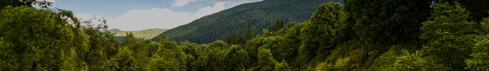Vantagens do sistema de troca iônica