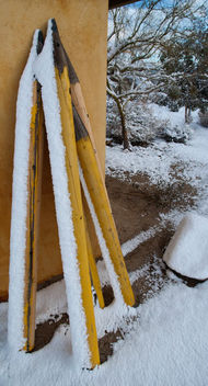 Frozen Desert Details