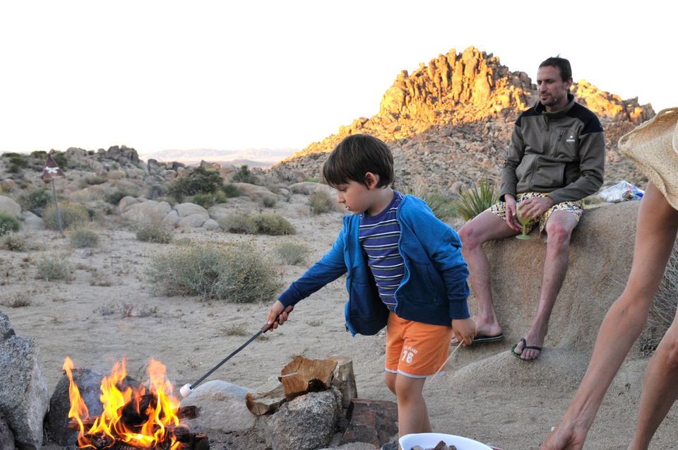 Toasting Marshmallows by the Firepit
