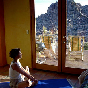 Long Awaited Summer at Joshua Tree Oasis