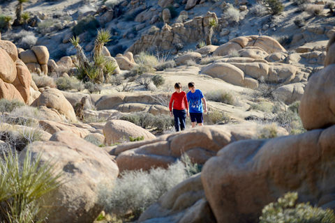 Desert Fun for the Little Ones