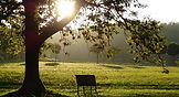 Profiter de la nature