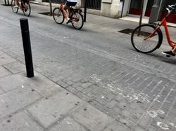 Guillem Galvany 22/07/2018