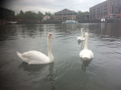 Ana Medina 14/05/2018