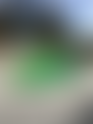 Capitolo su :  problemi comuni piscina 