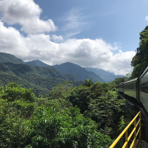 Passeio de Trem para Morretes