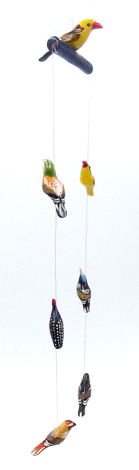 Bird Set