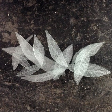 Jessica Bartlett Artist Bristol Portfolio