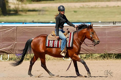 Competitor at a horse show