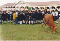 winning is surely rewarded.