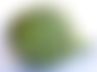 The Artichoke Theory of Personal Growth