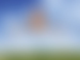 Reiki Case Studies with Immunity