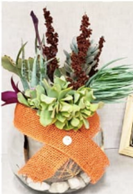 Screen Shot 2023-05-08 at 11.26.28 AM.png