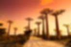 iStock-468053398