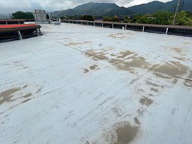 KakaoTalk_20250501_110315277_edited_edit