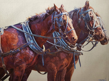 Capturing the Spirit of Cobb & Co on Canvas