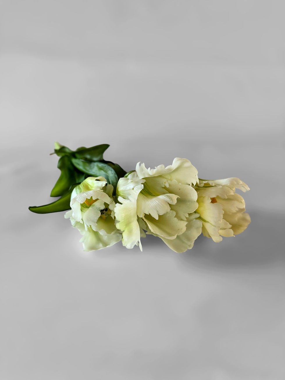 Thumbnail: Papegaaitulpen wit real touch