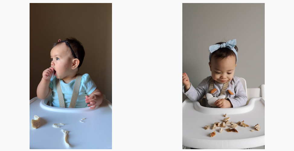 conejo 8 y 13 meses.png