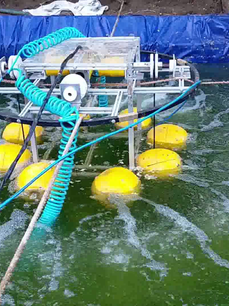 How this aquafarming startup evolved from a stand-alone technology to a market-ready product