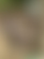 This startup supports smallholder farmers by providing access to the right inputs at the right time