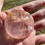 Thumbnail: Rose Quartz with Golden Healer-Large polished worry stone.