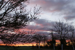 Levé de soleil sur le jardin