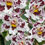 Miniatura: Oncidium White Diamond