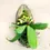 Miniatura: Gastrochilus Obliquus na bolachinha