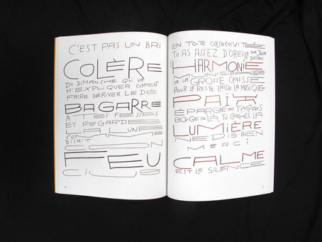 L'or de la fougue : ovni graphique écrit et dessiné par Pierre di Sciullo