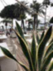 Monsieur Lifestyle - JW Marriott Grill Cannes