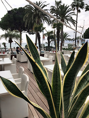 Monsieur Lifestyle - JW Marriott Grill Cannes